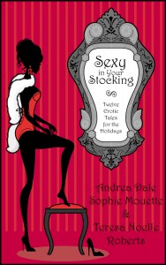 Cover for Sexy in Your Stocking