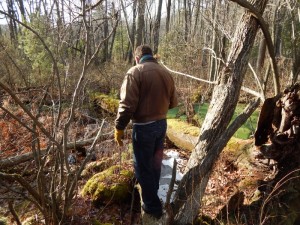 The Cat-Herder from the back (which is how he prefers to be photographed), in a spring woodland setting near a creek.