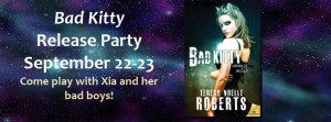 bad kitty party banner